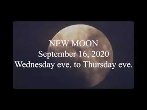 New Moon Article