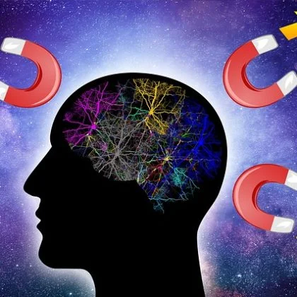 Law of Attraction Workshop